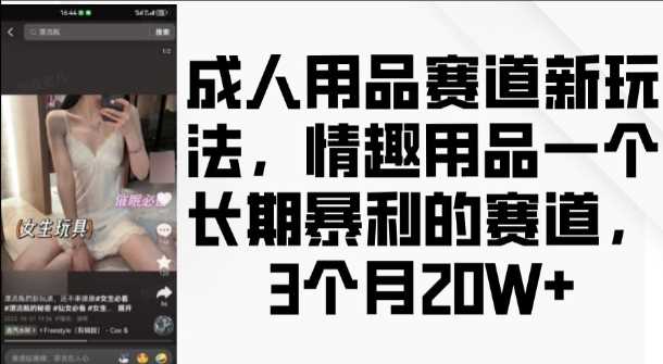 成人用品赛道新玩法，情趣用品一个长期暴利的赛道，3个月收益20个【揭秘】-北京金博维修中心