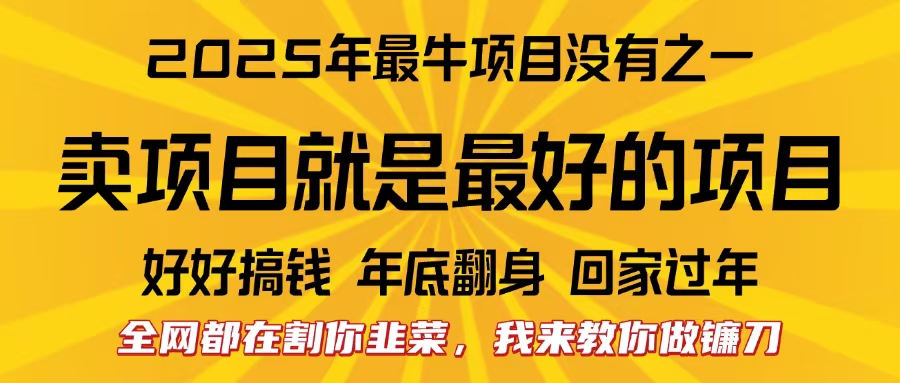 全网都在割你韭菜，我来教你做镰刀。卖项目就是最好的项目，2025年最牛互联网项目-北京金博维修中心